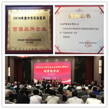 中進(jìn)藥業(yè)榮獲2016年度中華民族醫(yī)藥百強(qiáng)品牌企業(yè)榜單